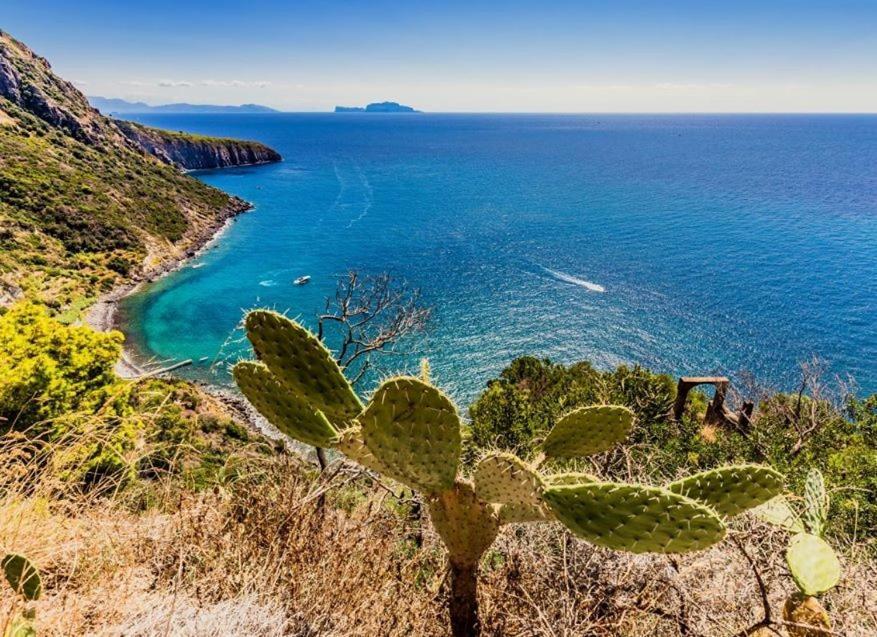 Hotel San Lorenzo Thermal Spa Forio di Ischia 外观 照片